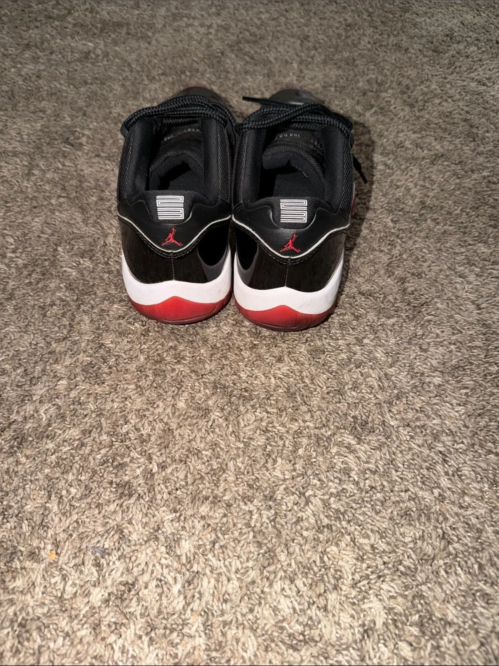 Jordan bred 11 lows